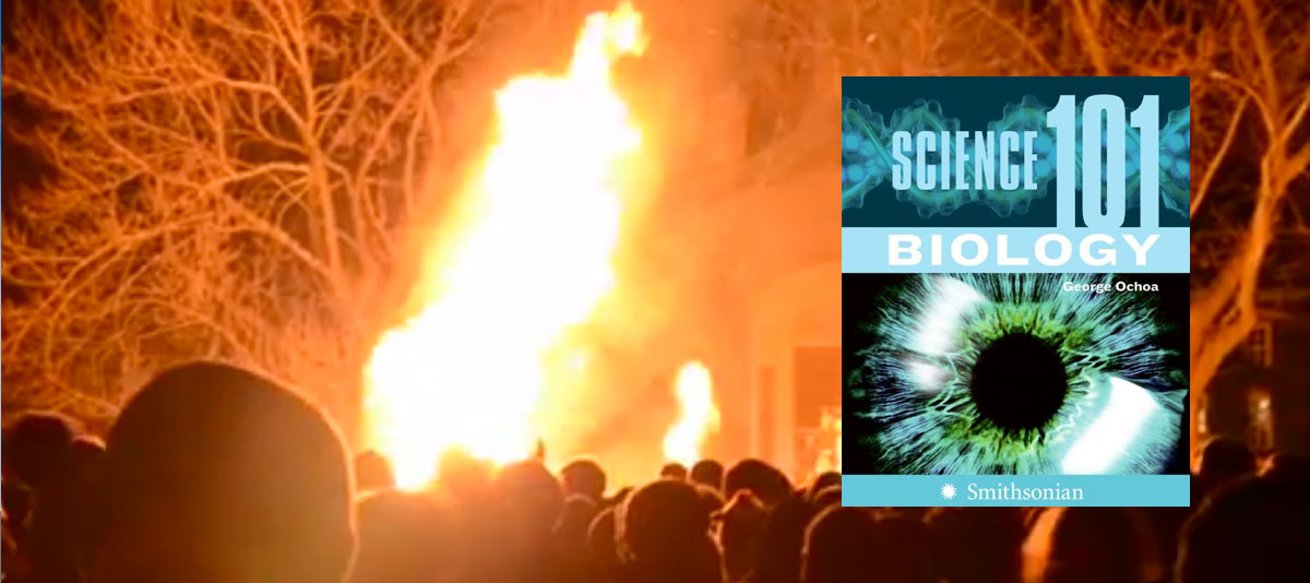 harvard-bookburning