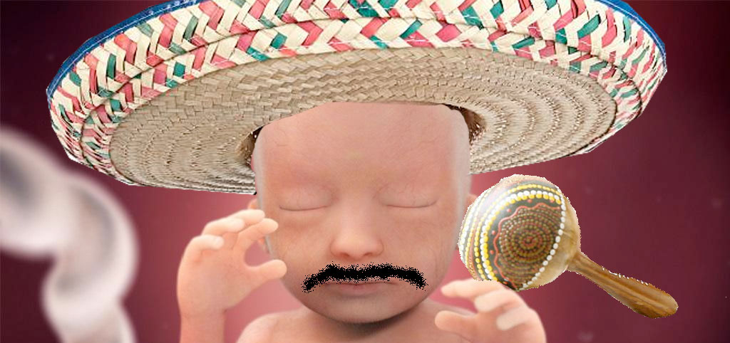 fetus-immigrant