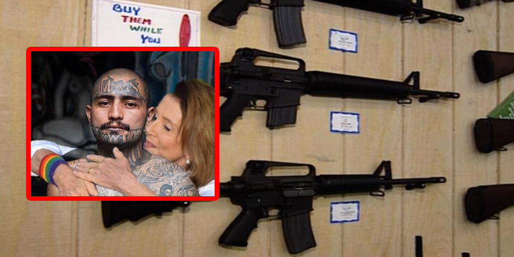 ar15-ms13-democrats
