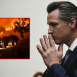 California Gov Newsom bans wildfires from state