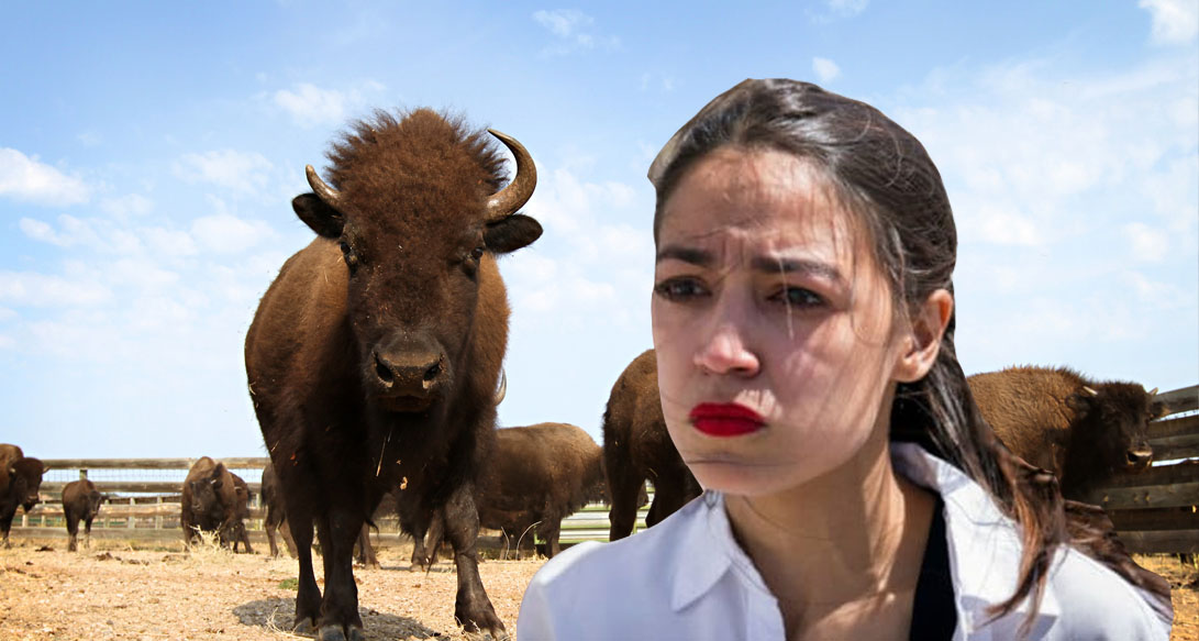 aoc-buffalo-cant-fly