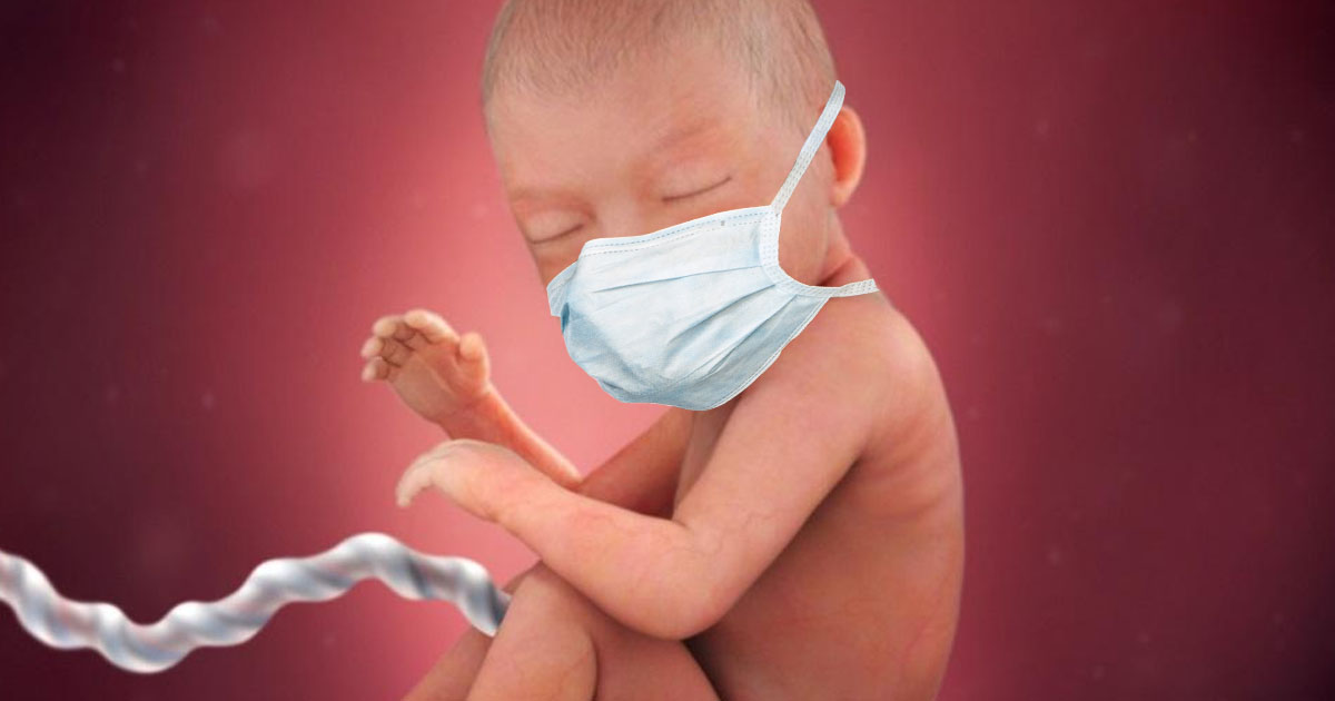 fetus-coronavirus-abortion