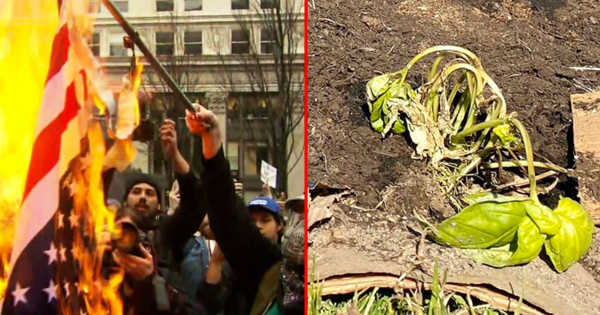 antifa-building-civ-difficult