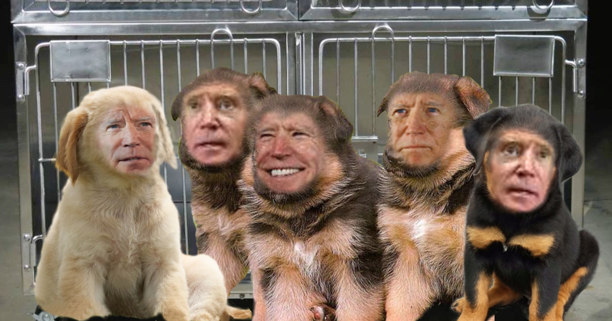 Biden puppies 001