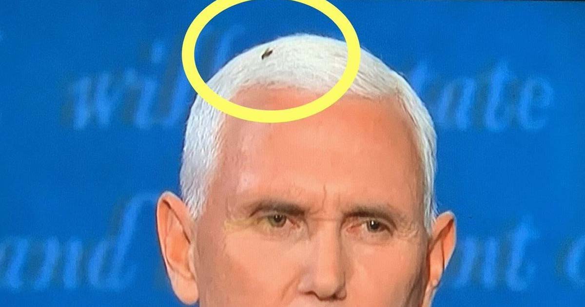 pence-debate-fly