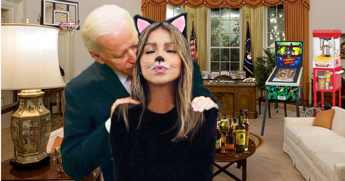 Biden mancave with cat