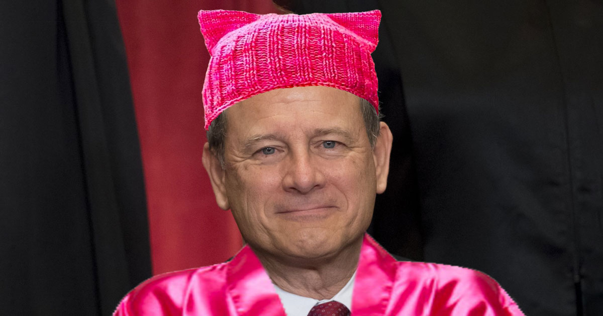 roberts-pussy-hat