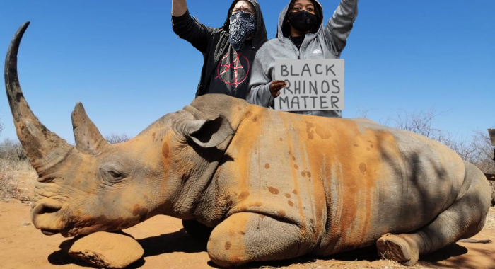 Activists Exterminate Last 'Problematic' White Rhinos png 2