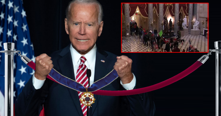 Velvet Ropes awarded Medal of Freedom for saving democracy png