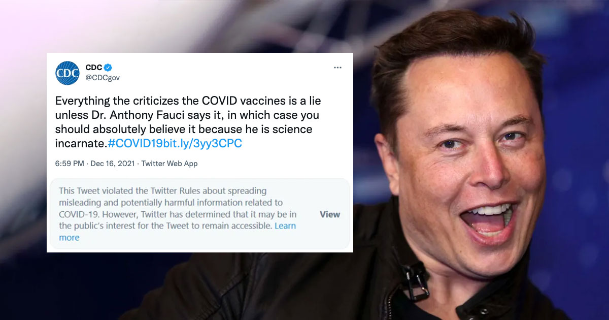 elon-musk-buys-twitter