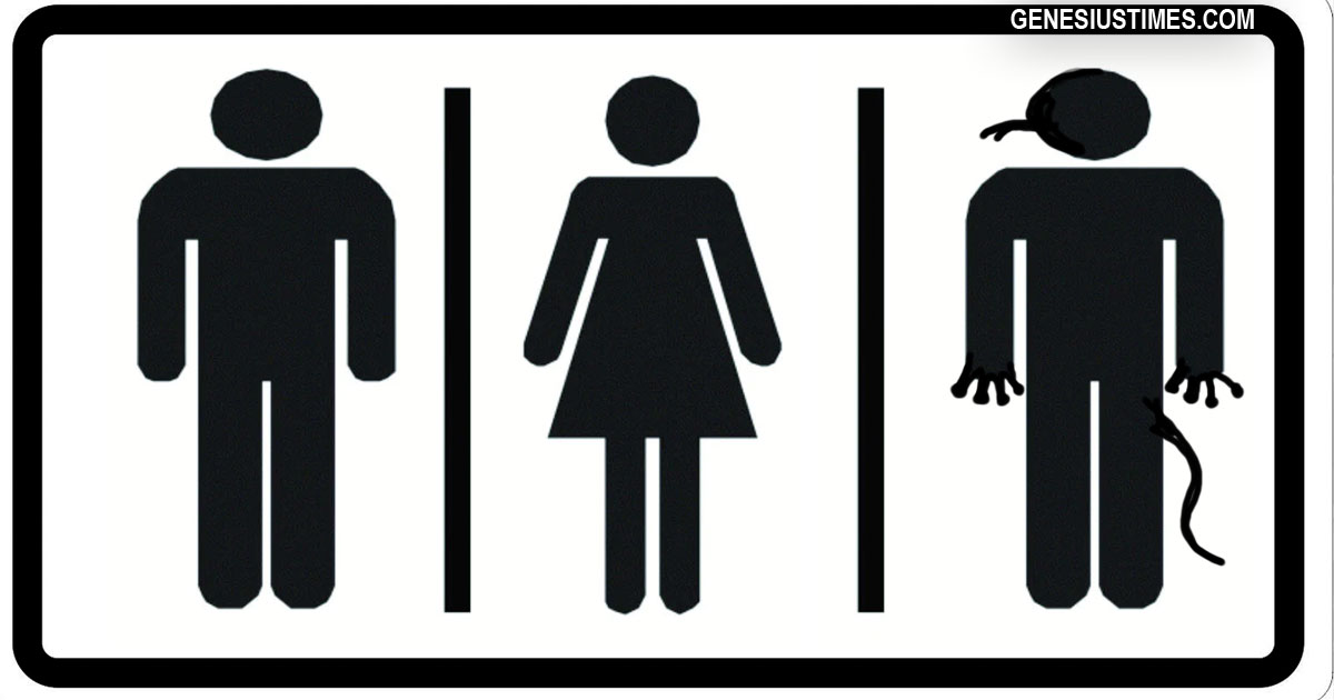 davos-lizard-bathroom-sign