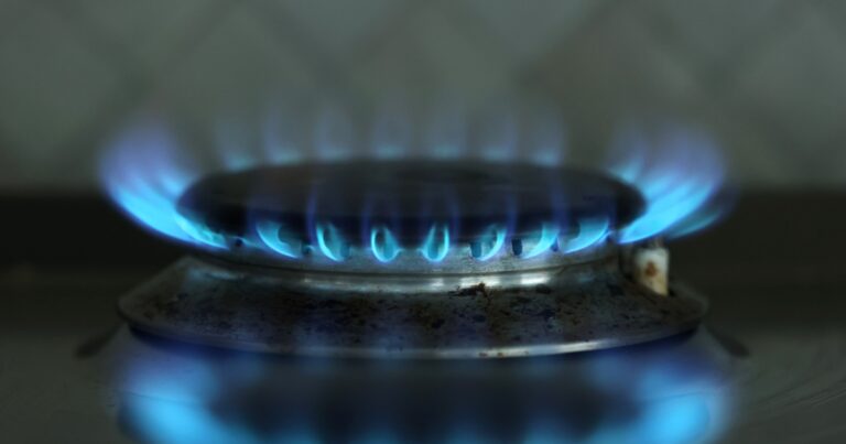 Media Gaslighting on Gas Stoves so Intense It’ll Supply Enough Gas for ...