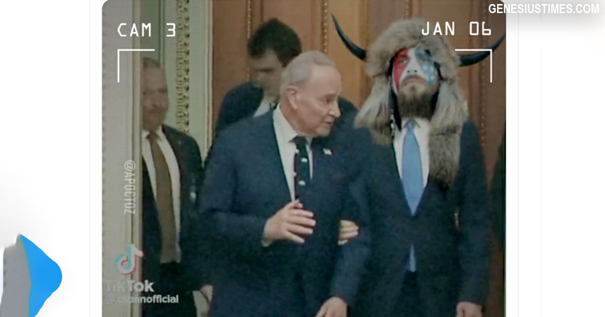 schumer-shaman