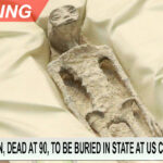 BREAKING: Dianne Feinstein, formerly mistaken for petrified alien mummy, dead at 90