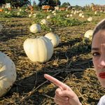 AOC: ‘These poor pumpkins have been drained of their spice by illegal poachers; this needs to stop!’