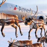 BREAKING: American Airlines to use flying reindeer to pull airplanes amid technical glitch