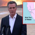 ‘We’ve run out of water to fight the Palisades Fire’ says governor of state next to the Pacific Ocean