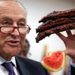 Chuck Schumer celebrates Black History Month by devouring rack of ribs and whole watermelon at press conference