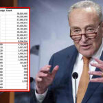 Democrats insist century-old Social Security recipients are real, and they all voted for Biden