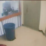jeffrey-eepstein-cell