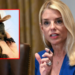 pam-bondi-pnut