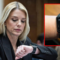 pedometer