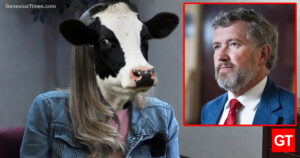 massie-cow