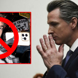 newsom-shirley