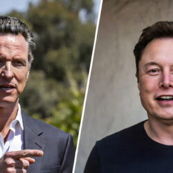 newsom-musk
