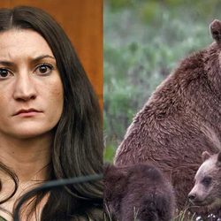 clancy-bear
