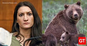clancy-bear