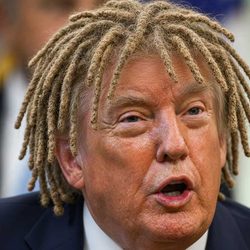 trump-dredlocks