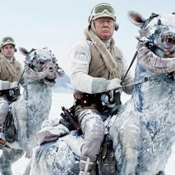 trump-greenland-taun-taun