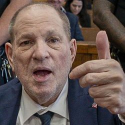 weinstein