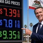 Democrats Urge Voters to Vote for Them So Gas Prices Will Come Down Like they are in Blue States